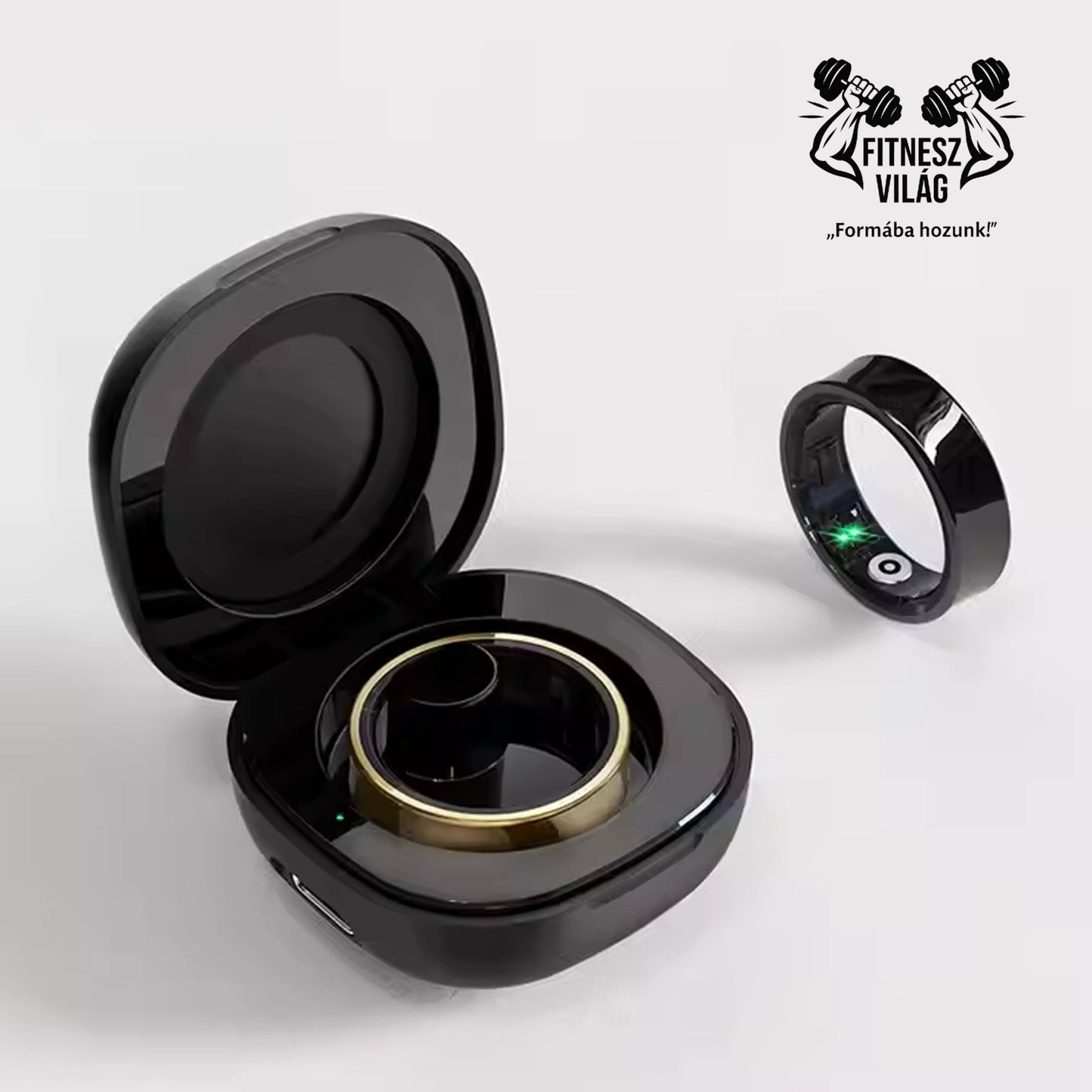 Fitt Ring No. 1 - Fitnesz Világ