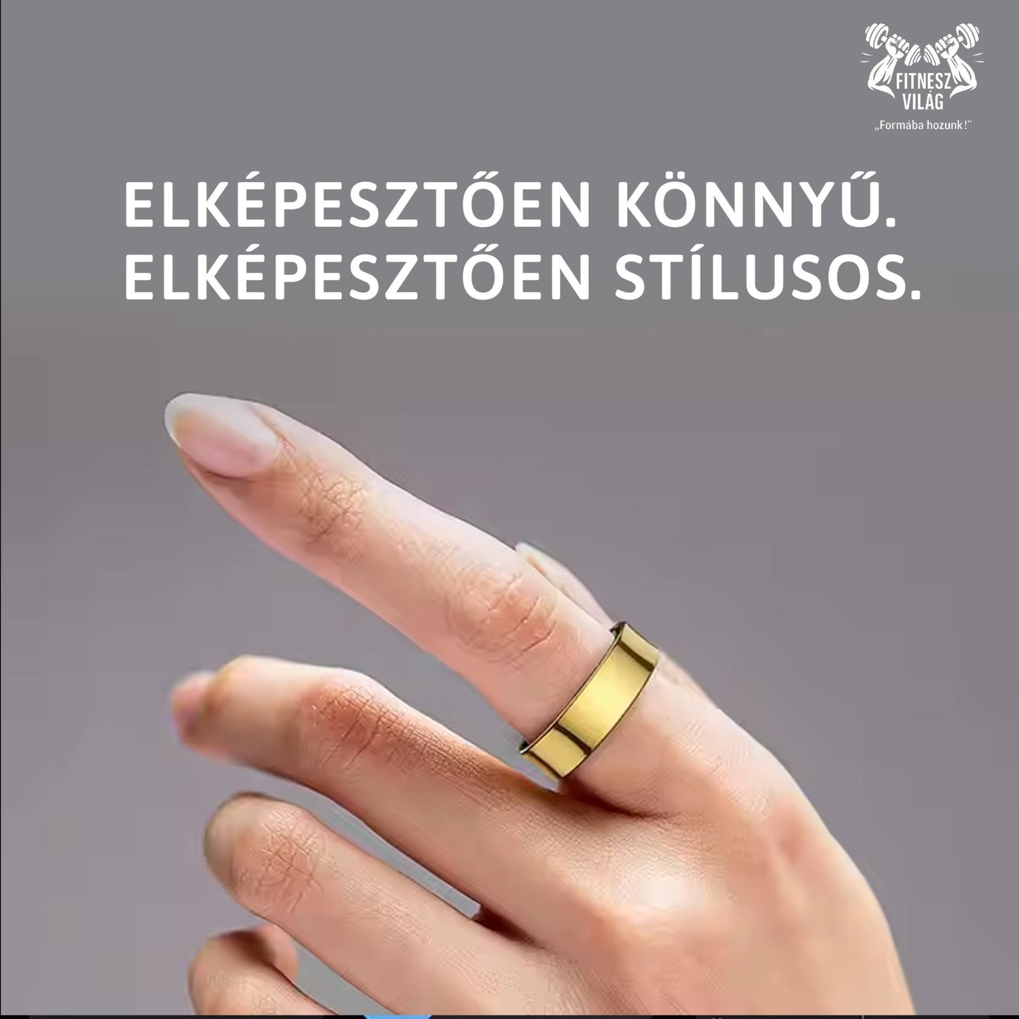 Fitt Ring No. 1 - Fitnesz Világ