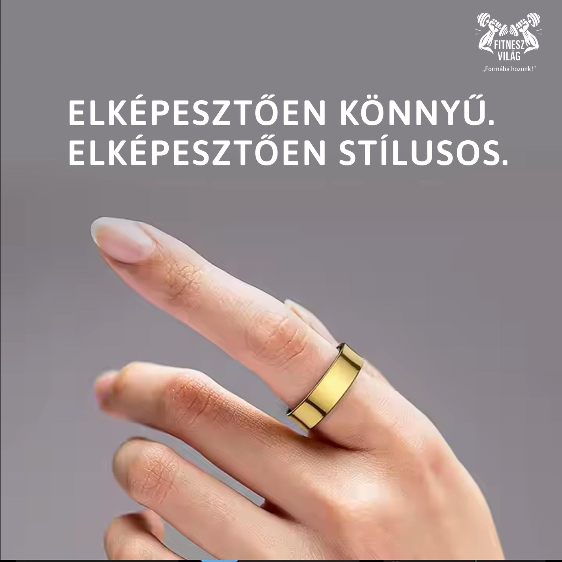 Fitt Ring No. 1 - Fitnesz Világ