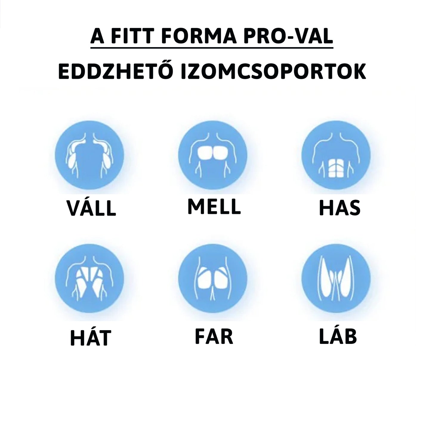 Fitt Forma Pro - Multifunkcionális edzőlap