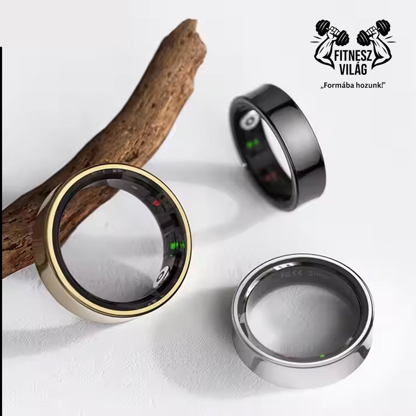 Fitt Ring No. 1 - Fitnesz Világ